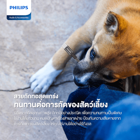 สายชาร์จ PHILIPS รุ่น DLC7030C/00 USB-C TO USB-C สีดำ_1